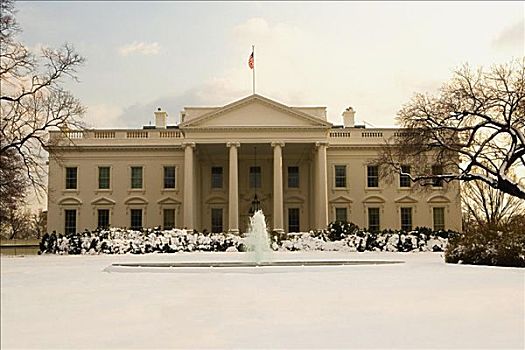 建筑,政府建筑,华盛顿特区,美国