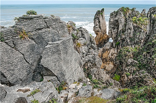 新西兰,沿岸,石头