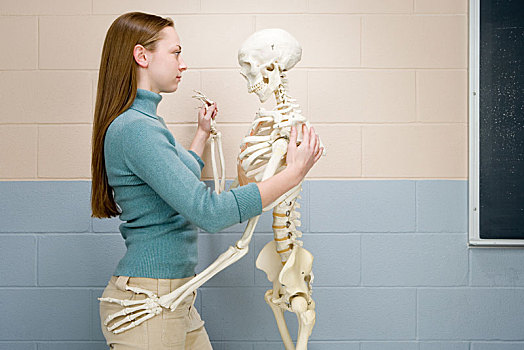 女学生,跳舞,人体骨骼