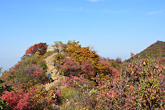 秦岭的秋