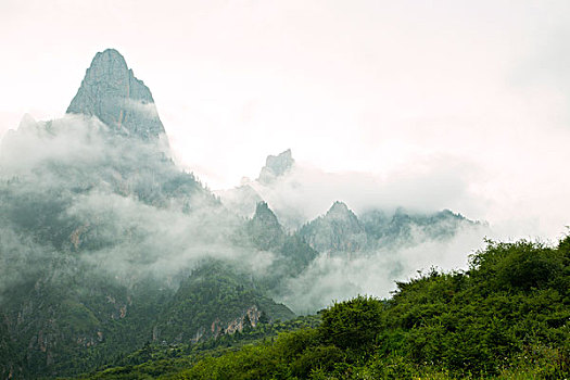 雾景