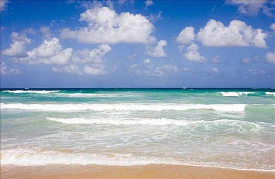 海浪,干盐湖,澳门,海滩,多米尼加共和国,加勒比海