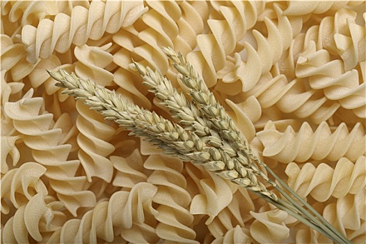 穗,小麦
