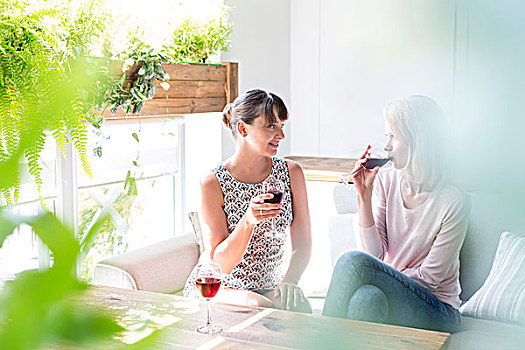 女人,喝,葡萄酒,交谈,咖啡,沙发