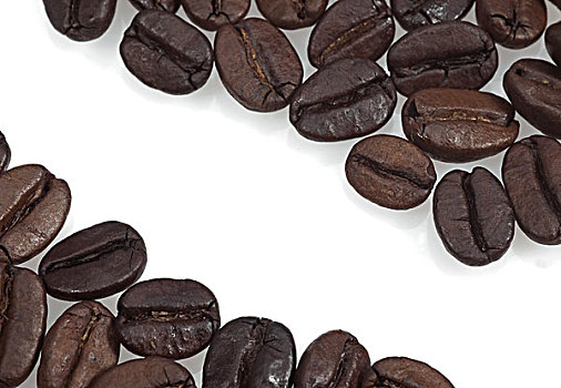 咖啡豆,阿拉伯咖啡,白色背景