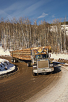 装载,伐木,卡车,锯木厂,不列颠哥伦比亚省,加拿大