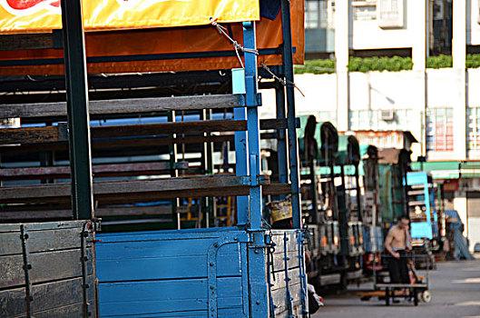 线条,卡车,新鲜水果,批发,市场,九龙,香港