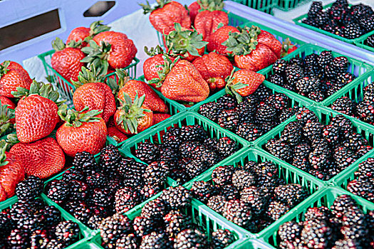 草莓,黑莓,市场