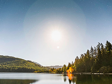 湖,阳光,湾,温哥华岛,不列颠哥伦比亚省,加拿大