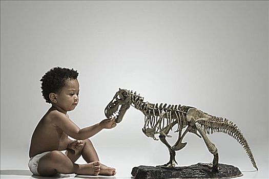 幼儿,接触,恐龙,骨骼