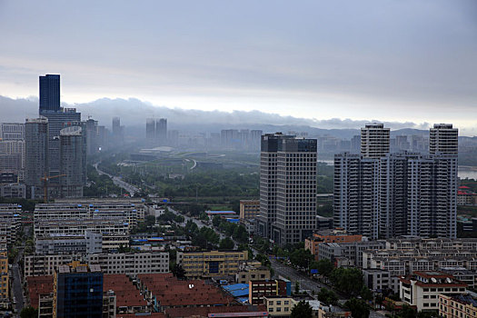 暴雨过后现,云山,奇观,数十公里长云雾环绕卧龙山