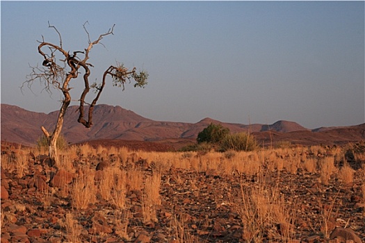 风景,达马拉兰,纳米比亚