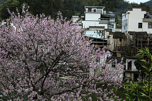 石潭村,安徽,古村落,住宅,建筑,历史,文化,居民,痕迹,村庄,老街