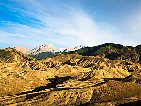 山地,风景,湖,吉尔吉斯斯坦,亚洲