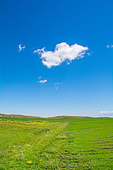 新疆草原蓝天白云