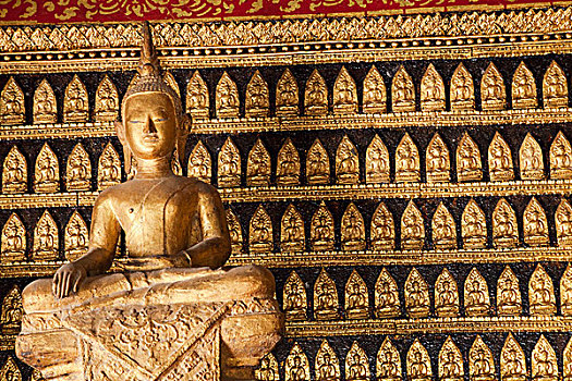 室内,卧佛,圣所,寺院,皮质带,琅勃拉邦,老挝