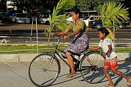 缅甸,仰光,女青年,学习,乘,自行车,帮助,女儿,推,背影