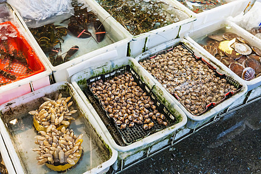 龙虾,鱼市,广州