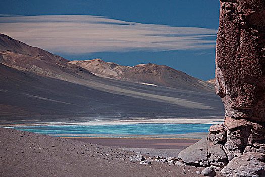 盐湖,阿塔卡马沙漠,靠近,玻利维亚,边界,美洲驼,左边,冬天