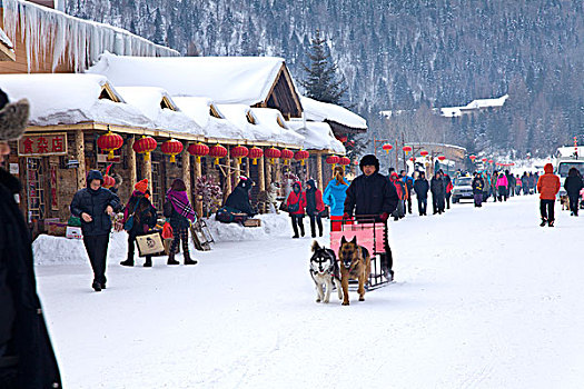 雪乡,双峰林场,村庄,风景,白天,黑龙江,牡丹江