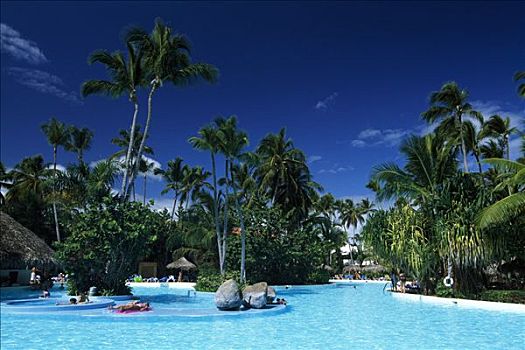 游泳池,热带,酒店,干盐湖,蓬塔卡纳,多米尼加共和国,加勒比海
