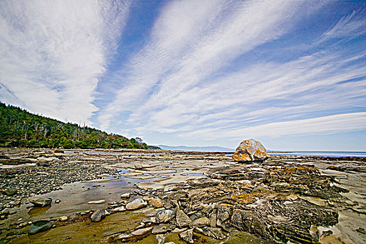 石头,退潮,环境,游览,腐蚀,砂岩,岩石构造,不列颠哥伦比亚省,加拿大