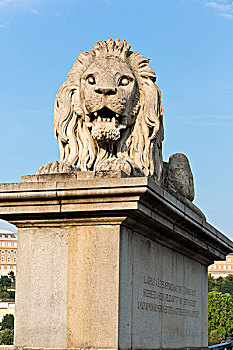 画像石狮子来自全国各地的多瑙河,布达佩斯链桥,匈牙利被隔绝在一个白色背景