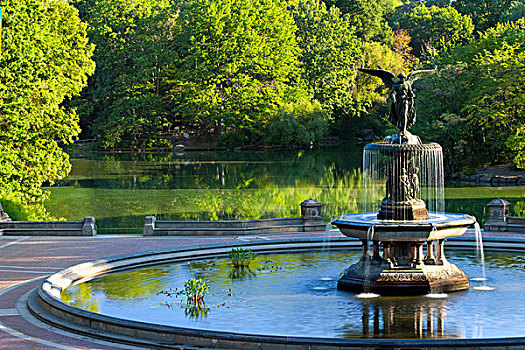 早晨,天使,水,喷泉,中央公园,曼哈顿,纽约,美国