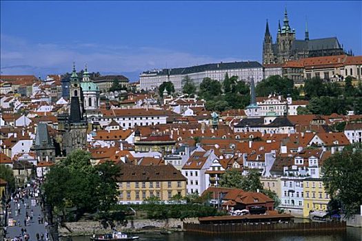 捷克共和国,布拉格,地区,大教堂,背影
