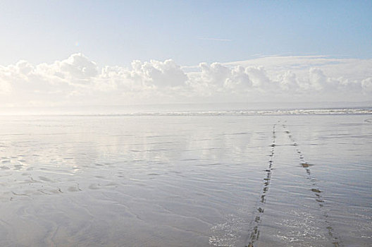 宽,沙,海滩,看,室外,海洋,湿,沙子,仰视,右边,云,填充,天空,德文郡,英国,2008年