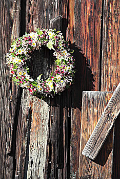 花环,可爱,甘菊,木板墙