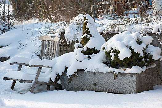 雪,石头,槽,针叶树,花园椅,平台