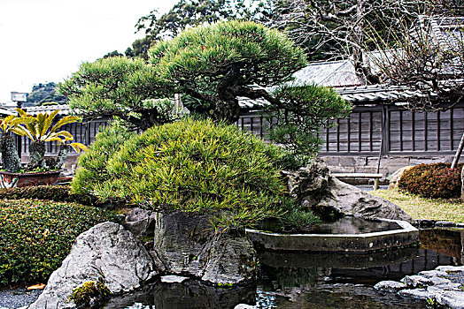 花园,鹿儿岛,日本