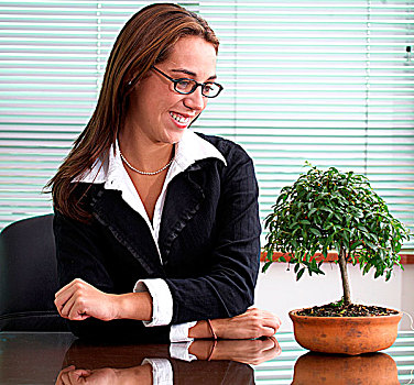 职业女性,盆景树,办公室