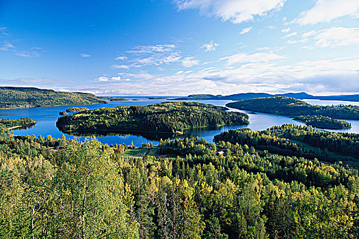 风景,树林,海洋,瑞典
