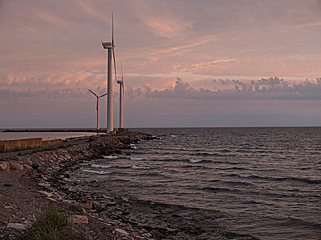 沿岸,风轮机,日出,瑞典