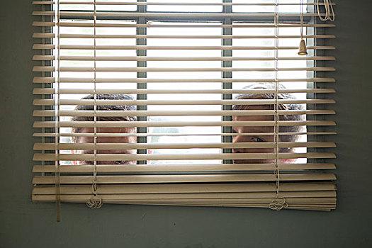 两个男孩,凝视,窗户,百叶窗