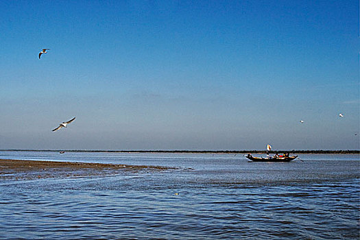 风景,孟加拉,十月,2007年