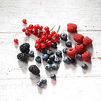 红浆果,树莓,黑莓,蓝莓