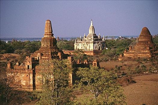 塔,风景,蒲甘,缅甸
