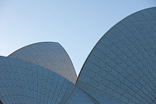 悉尼歌剧院,特写,风景