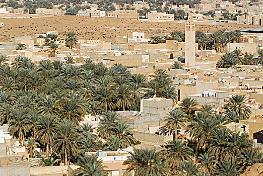 algeria,melika,high,angle,view,of,residential,district,with,palm,trees