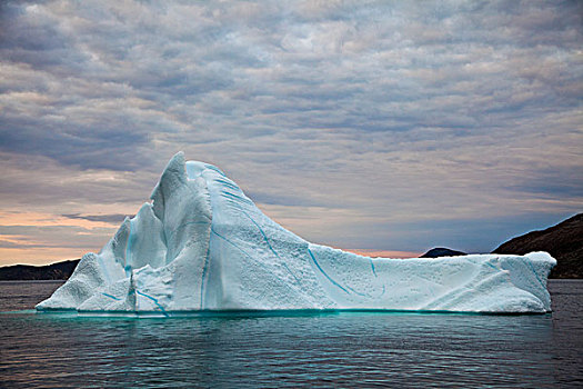冰山,峡湾,拉布拉多犬,加拿大