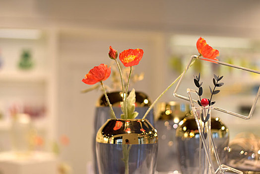 室内装饰花瓶