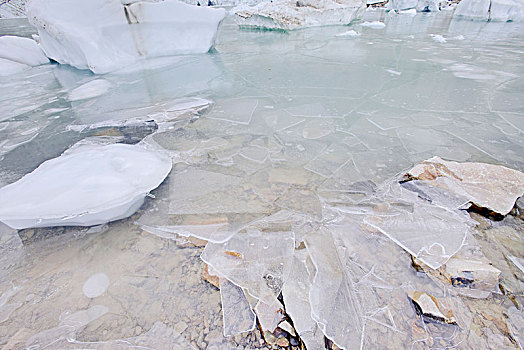 冰,湖,艾伯塔省,加拿大