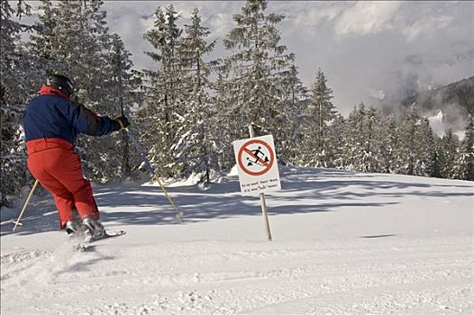 鲁莽,滑雪者,不理睬,禁止,标识,滑雪,树林