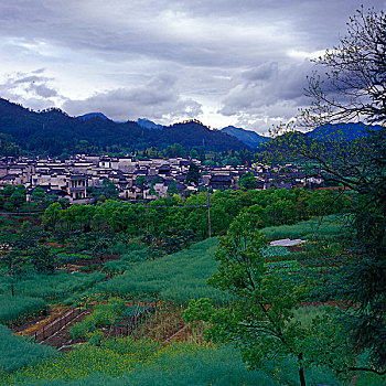 西递田园风光