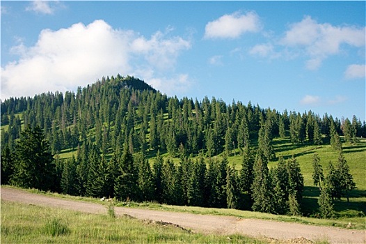 风景