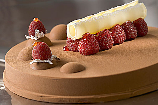 蛋糕,可可,装饰,树莓,白巧克力