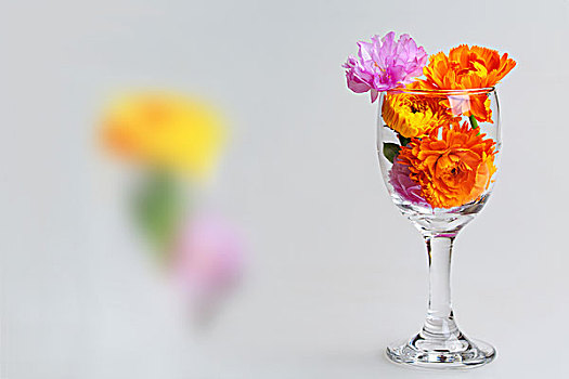 玻璃酒杯中的插花